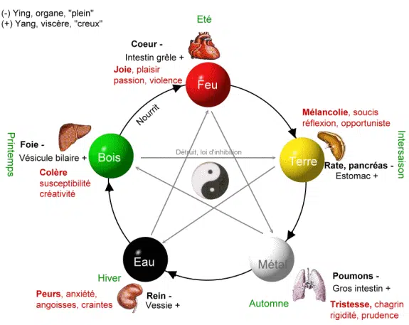 migraine et foie