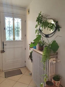 Cabinet de kinésiologie ricord Entrée